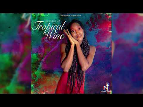 Arie J - Tropical Wine (Official Audio) | Soca 2026