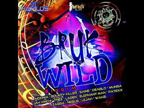 BRUK WILD RIDDIM MIXX BY DJ-M.o.M AIDONIA, ZAGGA, T'NEZ, PATEXX, JAH VINCI and more