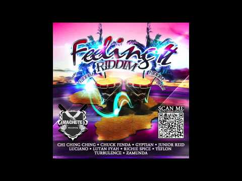 Feeling It Riddim (DJ Mix) Machete Records 2012