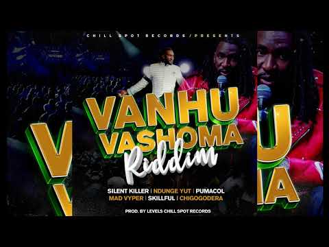 Silent Killer - Vanhu Vashoma (Vanhu Vashoma Riddim 2024 Prod. By Chill Spot Records)