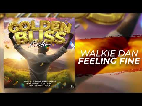 Walkie Dan - Feeling Fine (Golden Bliss Riddim)