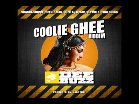 Coolie Ghee Riddim 2014 mix! (Dj CashMoney) [ DEE BUZZ SOUND & HARD2DEF]