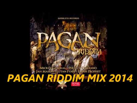 PAGAN RIDDIM MIX( FEB -2014)