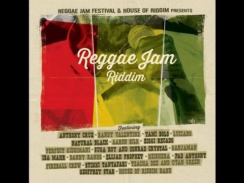 BRAND NEW**2013  REGGAE JAM RIDDIM MEGA MIX PROMO