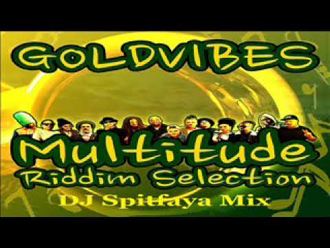 Multitude Riddim Selection Mix 2024_ft_Perfect_Tippa Irie_Goldvibes_Uwe Banton _Ring Ding_Hermano L