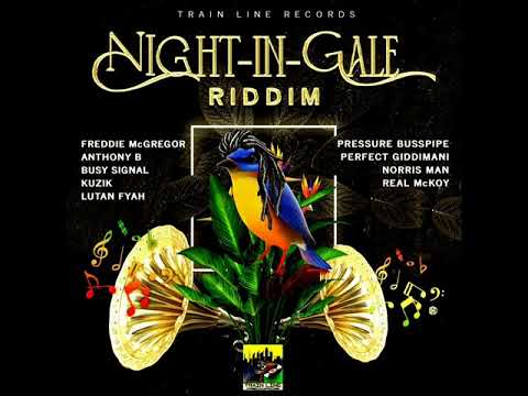 Night In Gale Riddim (Official Mix) (Full) Feat. Perfect Giddimani, Lutan Fyah, Busy Signal ( 2022)