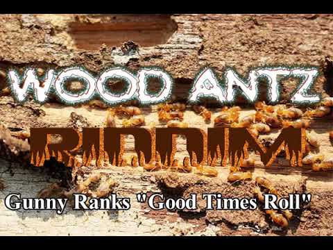 Gunny Ranks "Good Times Roll"