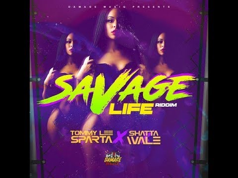 Mr. Bruckshut - "Savage Life Riddim (2017) Mix" (Damage Musiq)