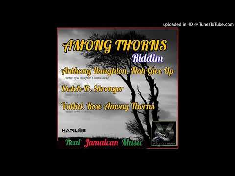 Among Thorns Riddim Mix (Full, June 2020) Feat. Dutch B, Vallid, Anthony Haughton.