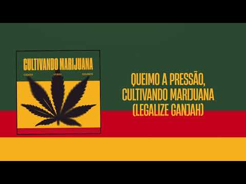 Cidade Verde Sounds - Cultivando Marijuana (2025)