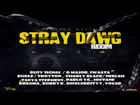 Stray Dawg Riddim {Mix} Troyton Music / Busy Signal, IWaata, Charly Black, I-Octane, Bugle, Dreama.