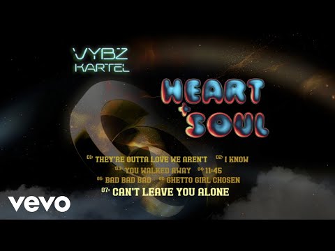 Vybz Kartel - Can't Leave You Alone (official audio)