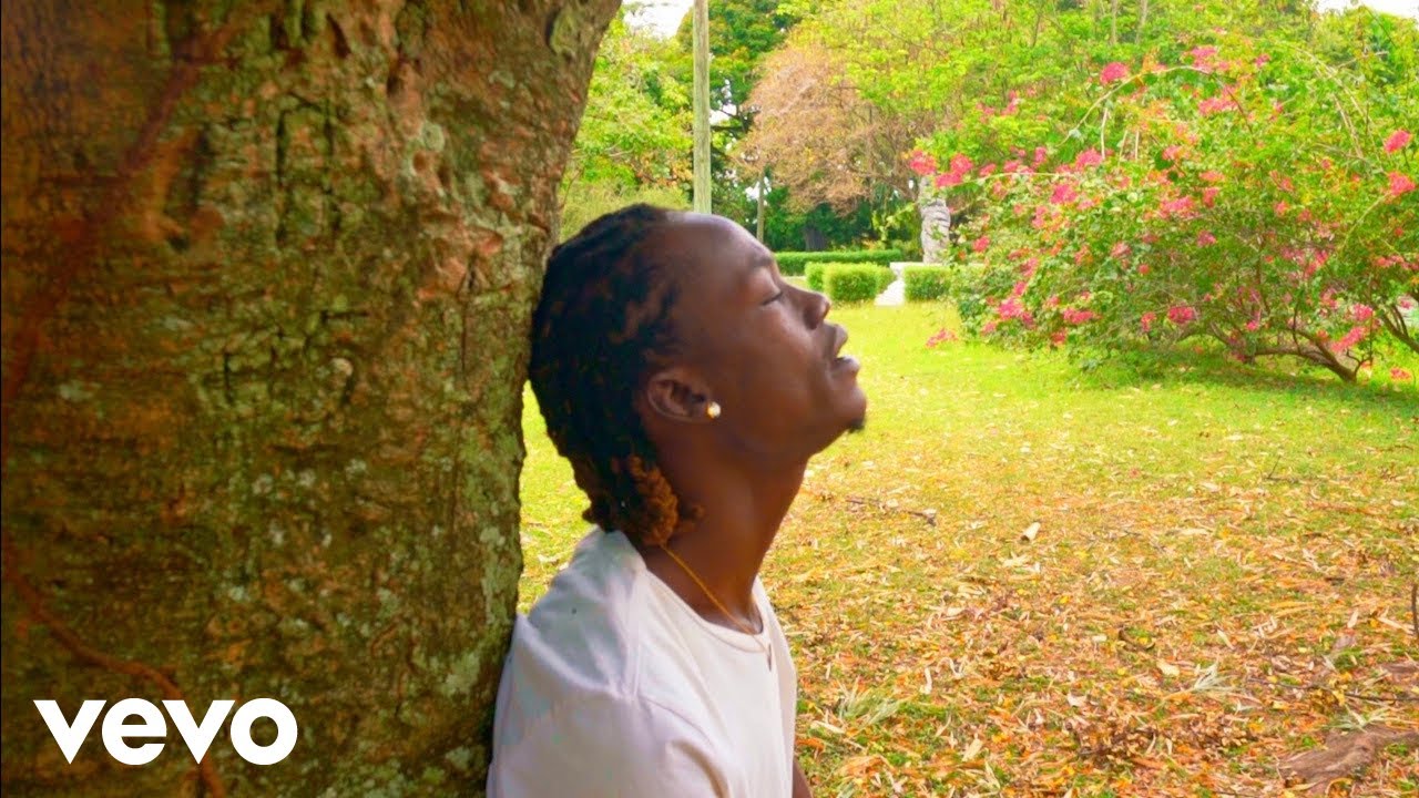 Sikkflow - Real Pain (Official Music Video)