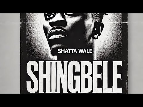 Shatta Wale - Shingbele (Official Audio)