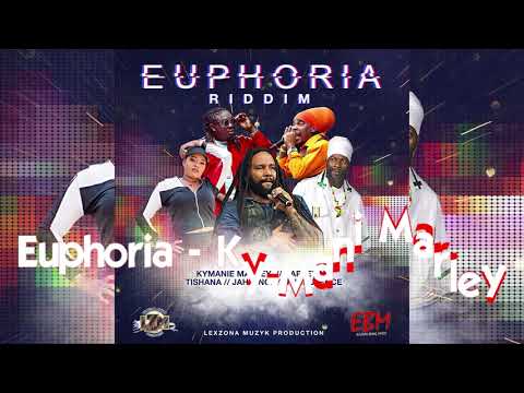 Euphoria Riddim Mix by Enzoselection 2020 Lexzona Muzyk