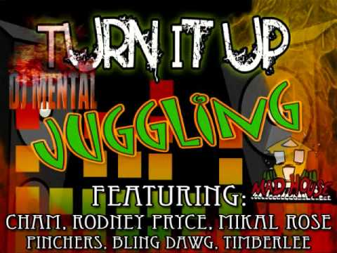 TURN IT UP RIDDIM MIX [MADHOUSE RECORDS] DANCE HALL JAN 2011 HITS.wmv