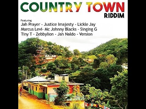 Mr. Bruckshut - "Country Town Riddim (2017) Mix" (Zebbylion Productions)