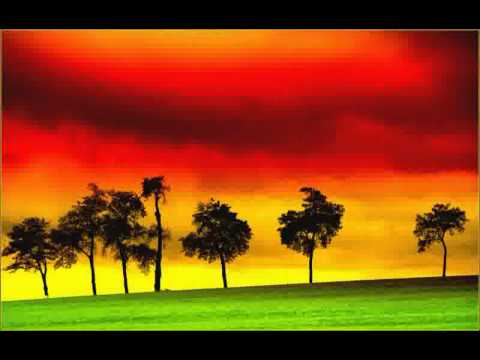 Cocoa Tea - I Am Not a King - HQ High Quality - Reggae Music