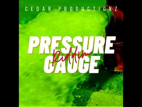 Freezy - Like It A lot - (Pressure Gauge Riddim) - Produced by Aschadan (Cedar Productionz)