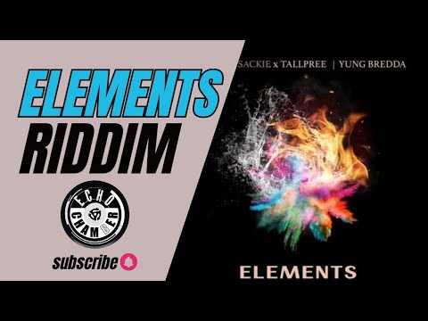 Elements Riddim Mix! | Echo Chamber