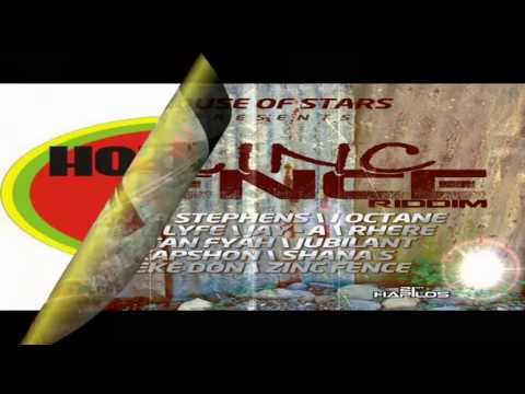 Zinc Fence Riddim MIX[April 2013] - House A Stars Records