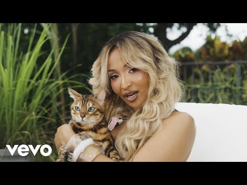 Shenseea, DJ Frass - Tightness | Official Music Video (Group Chat Juggling)