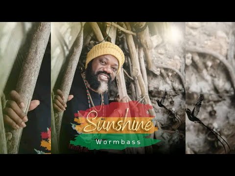 Wormbass - Sunshine (Official Audio) (New Reggae Song 2024) Promo By Ins Rastafari MixMaster