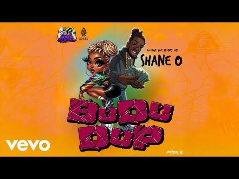 Shane O - BuDuDup (official audio)