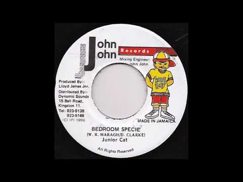 Junior Cat -  Bedroom Specie  (1996) Twin Cam Punanny Riddim