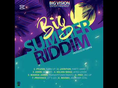 Cuff-B - Kelvin sings, PROVOICE, Nesness Big Summer Riddim Audio Medley (Mixed By Cuff-B) 2025