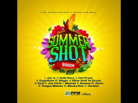 SUMMER SHOT RIDDIM PROMO MIX 🔥ZINC HOUSE RECORDS X FRENZ FOR REAL🔥-NEW DANCEHALL - DJ Alicea Grooves