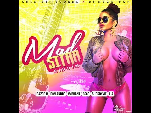 Mr. Bruckshut - "Mad Sitar Riddim (2017) Mix" (Chemist Reccords & DJ Megatron)