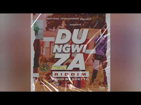 Dungwiza Riddim Mixtape shettoh lastkings263music