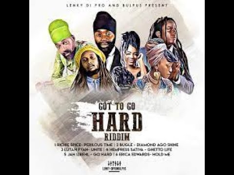 FreeSpirit Mix/ Got to Go HARD Riddim/ Lenky & Bulpus Productions/ 2023