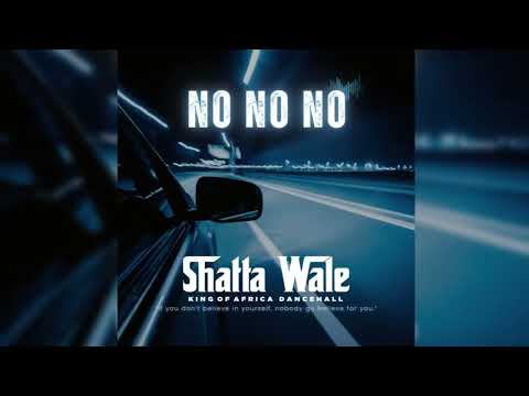 Shatta Wale - No No No (Audio Slide)