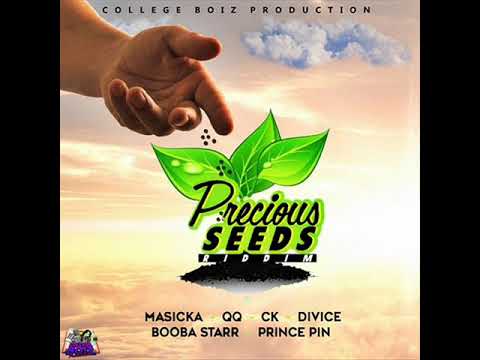 Precious Seeds Riddim Mix (College Boiz Production) (August 2017)