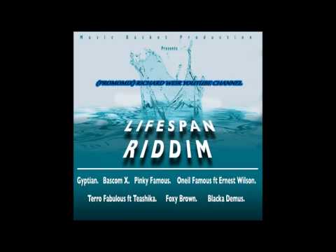 LIFE SPAN RIDDIM (Mix-Aug 2017) MUSIC BASKET