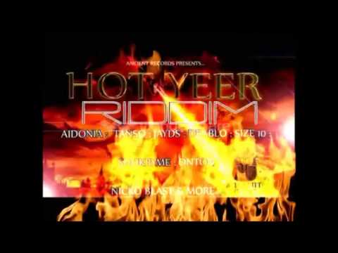 HOT YEER RIDDIM MIX 2014