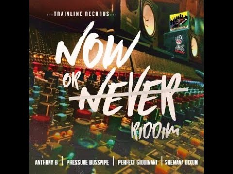 Mr. Bruckshut - "Now Or Never Riddim (2018) Mix" (Trainline Records)