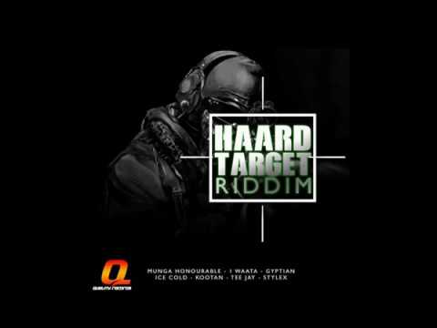 HAARD TARGET RIDDIM MIX  (JAN 2017) QUALITY-RECORDS