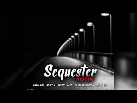 Mr. Bruckshut - "Sequester Riddim (2020) Mix" (Outta Nothing Production)