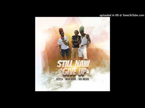 Sizzla Ft. Mojo Herb & Ras Negus - Still Naw Give Up [Trang Team Records] (November 2024)