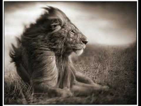 The Abyssinians - Abendigo