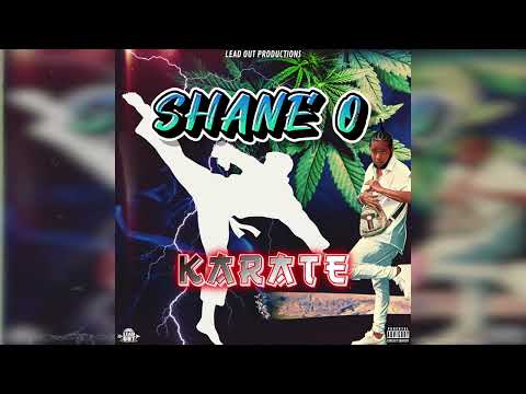 Shane O - Karate (Official Audio)