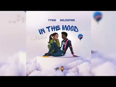 Tynie X WiLDFiRE - In The Mood (Official Audio)