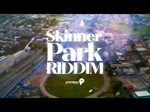 Skinner Park [Skinner Park Riddim] (Official Audio) | Nadia Batson