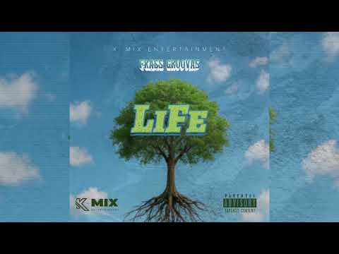Frass Groovas - LIFE (Official audio)