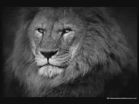 sizzla   stronger than before 2010