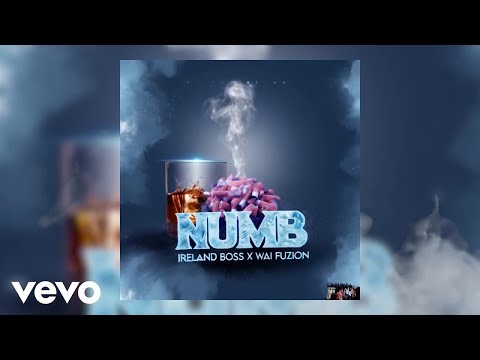 Wai Fuzion, Ireland Boss - Numb (Official Visualizer)