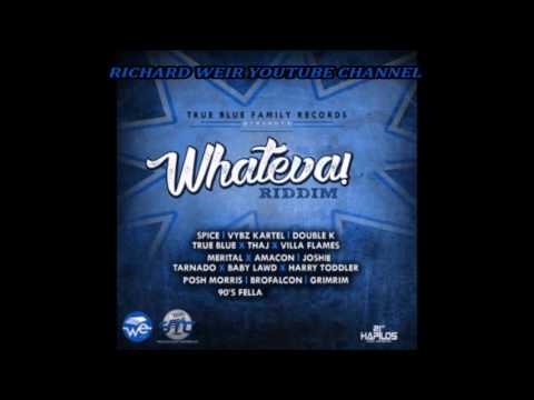 Whateva Riddim (Mix-Apr 2017 ) True Blue Family Records